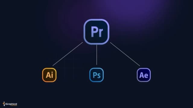 دوره فشرده نرم افزار ادوبی پریمیر