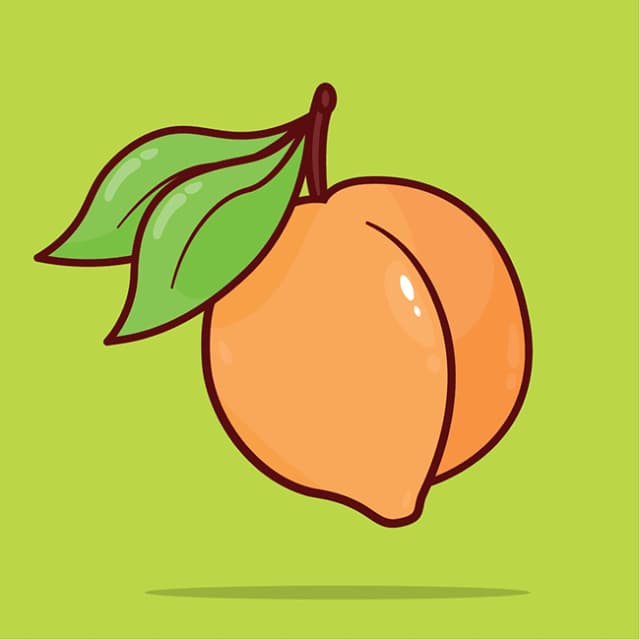 دوره جامع نرم افزار ادوبی ایلوستریتور